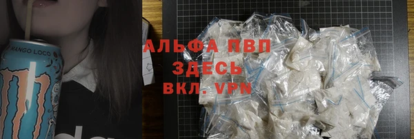 PSILOCYBIN Липки
