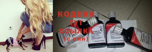 PSILOCYBIN Липки