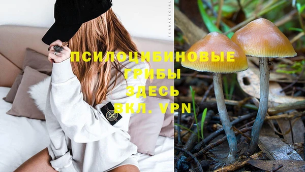 PSILOCYBIN Липки